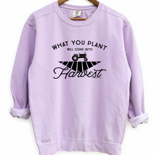 What You Plant Will Come Into Harvest Crewneck (S-3XL) - Multiple Colors!