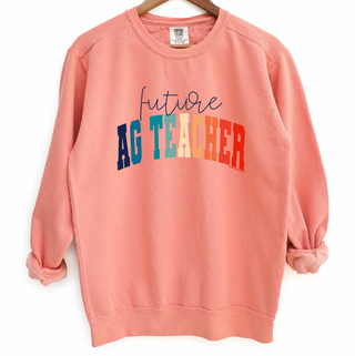 Varsity Future Ag Teacher Color Crewneck (S-3XL) - Multiple Colors!