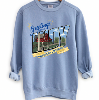 Greeting From Indy Crewneck (S-3XL) - Multiple Colors!